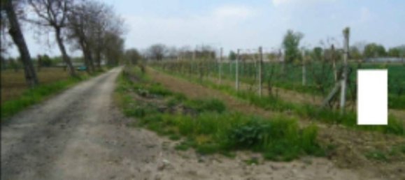 4465m² Land in Orta di Atella, Italy No. 376741 7