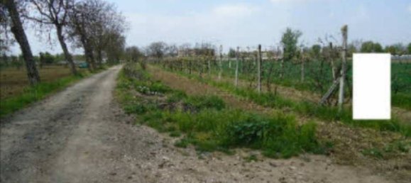 4465m² Land in Orta di Atella, Italy No. 376741 2