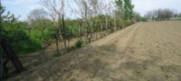 4465m² Land in Orta di Atella, Italy No. 376741 20