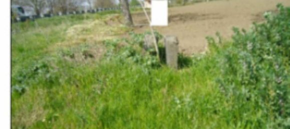 4465m² Land in Orta di Atella, Italy No. 376741 9