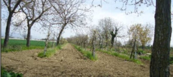 4465m² Land in Orta di Atella, Italy No. 376741 3