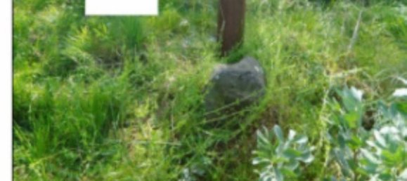 4465m² Land in Orta di Atella, Italy No. 376741 17