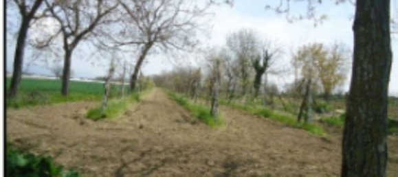 4465m² Land in Orta di Atella, Italy No. 376741 8