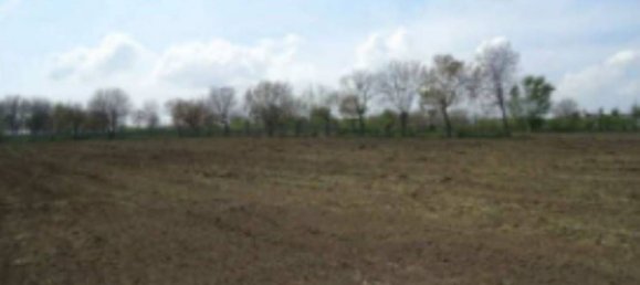 4465m² Land in Orta di Atella, Italy No. 376741 18
