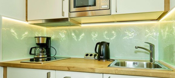  فندق في Traunstein, Germany 845متر مربع رقم 171437 13