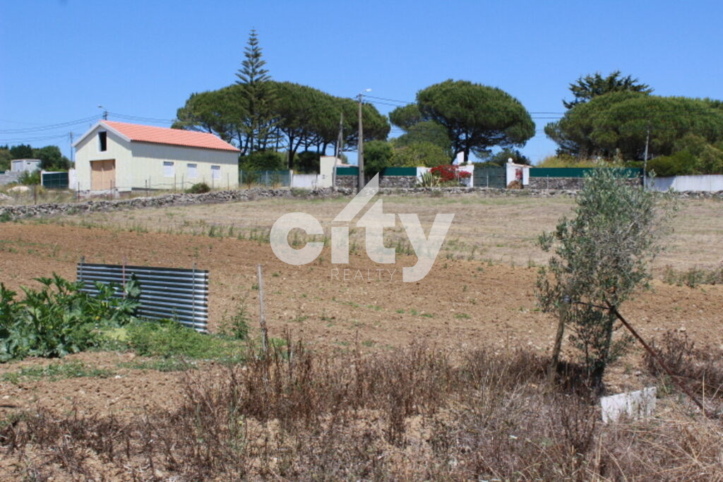  قطعة أرض في Sintra, Portugal رقم 55740