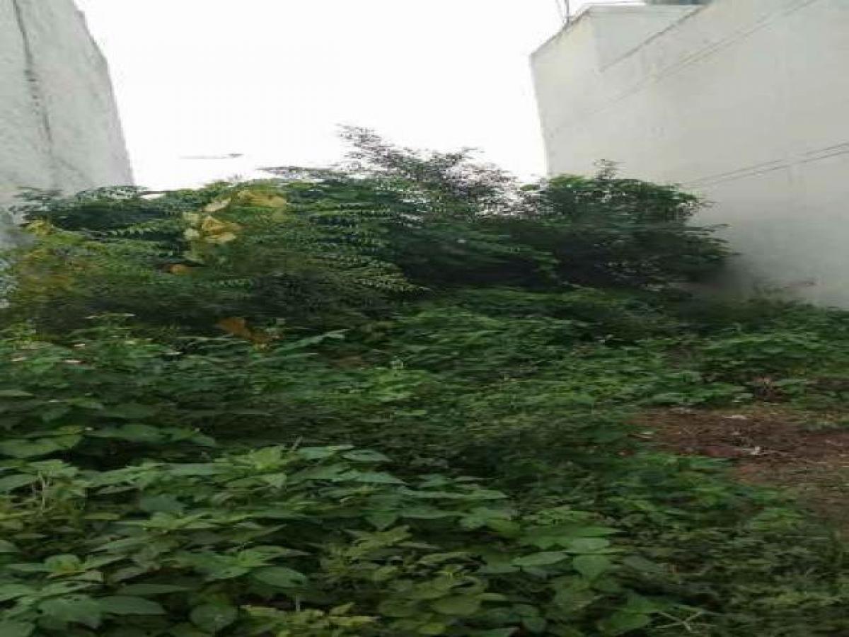 Terreno em Ghaziabad, India N.º 33518