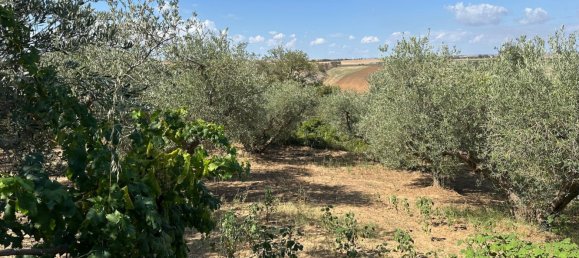 Villa de 7 dormitorios en Poggio Imperiale, Italy No. 358091 2