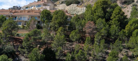 3 chambres house à vendre à El Mascarat, Alicante, Valencian Community, Spain № 365531 24