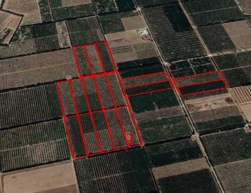 Земельный участок 169227м² в Колосси, Кипр № 8972