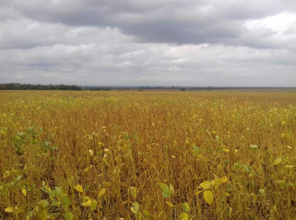 Grundstück in Cordoba, Argentina, Nr. 50076