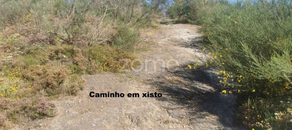 36683m² Land in Recarei, Portugal No. 34250 37