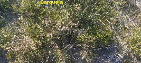 36683m² Land in Recarei, Portugal No. 34250 20