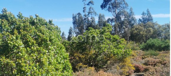 36683m² Land in Recarei, Portugal No. 34250 24