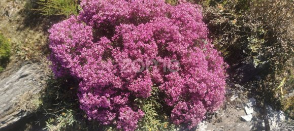 36683m² Land in Recarei, Portugal No. 34250 21