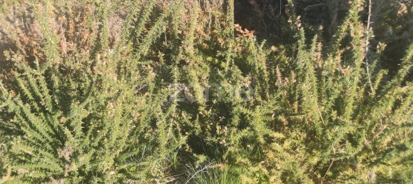 36683m² Land in Recarei, Portugal No. 34250 25