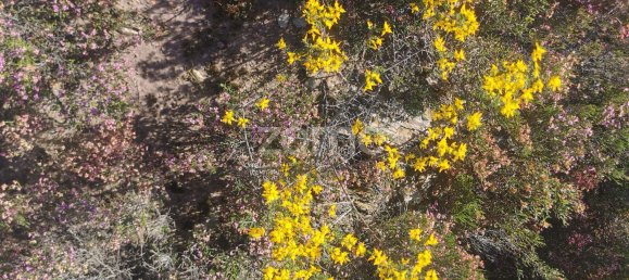 36683m² Land in Recarei, Portugal No. 34250 23