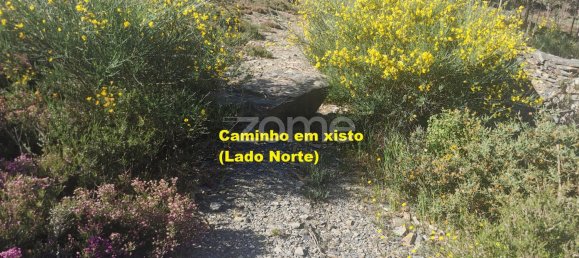 36683m² Land in Recarei, Portugal No. 34250 38