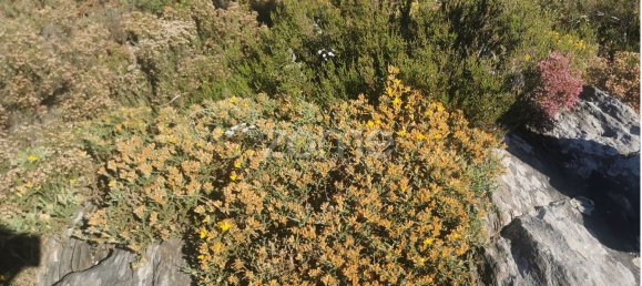 36683m² Land in Recarei, Portugal No. 34250 22