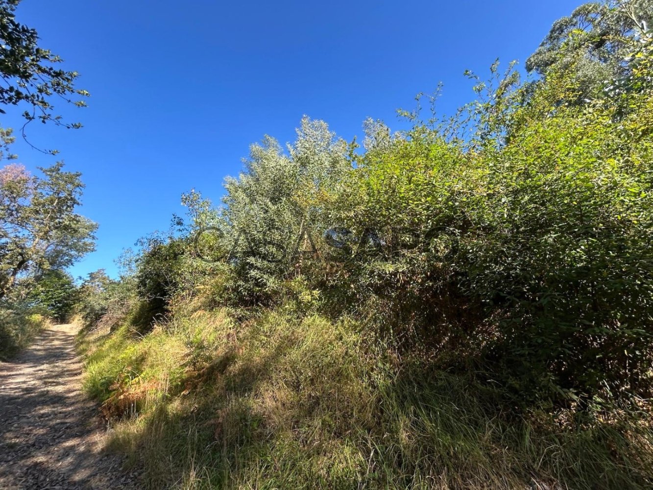  Land in Paredes de Coura, Portugal No. 272397