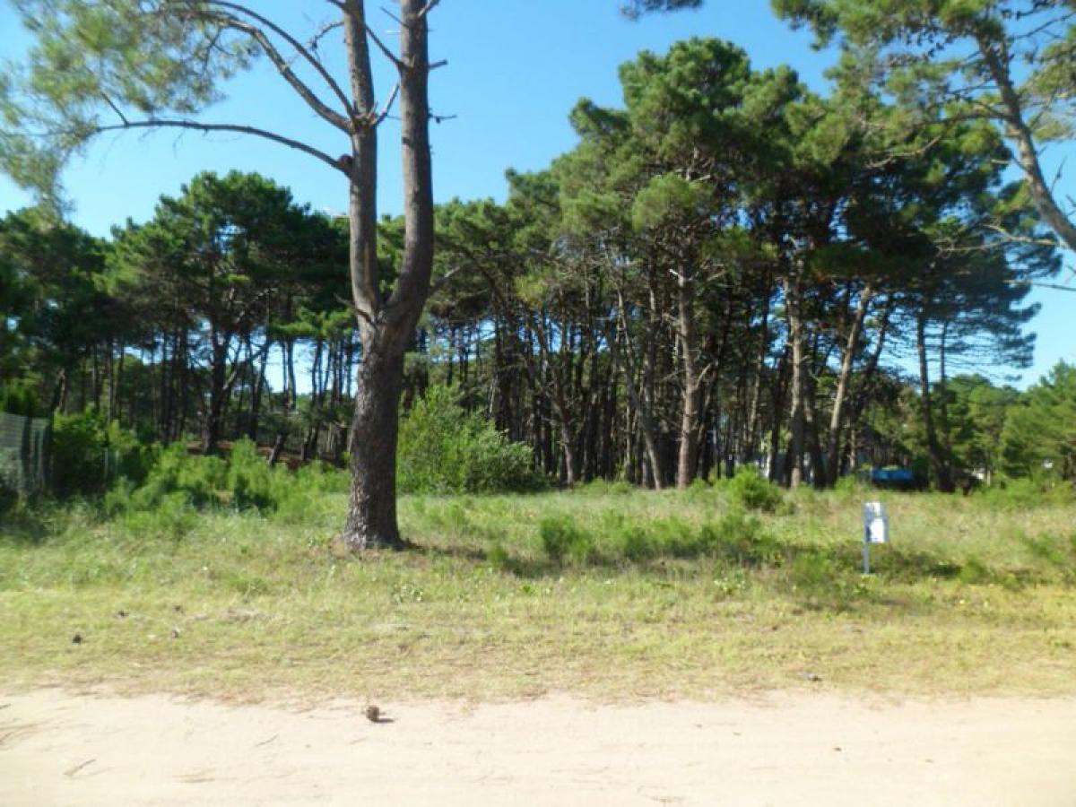  Land in Mar del Plata, Argentina No. 116142