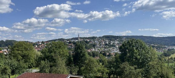 6 غرف نوم تاون هاوس في Freyung-Grafenau, Germany رقم 173342 4