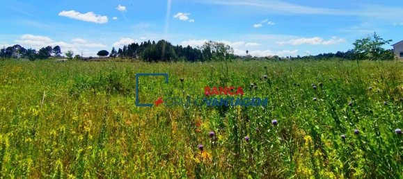 13820m² Land in Cartaxo, Portugal No. 88981 6