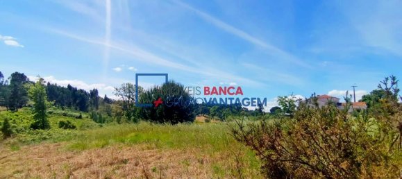 13820m² Land in Cartaxo, Portugal No. 88981 2