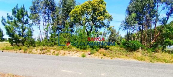 13820m² Land in Cartaxo, Portugal No. 88981 4