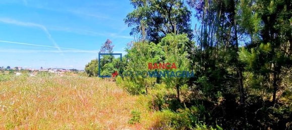 13820m² Land in Cartaxo, Portugal No. 88981 7