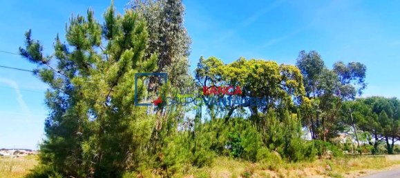 13820m² Land in Cartaxo, Portugal No. 88981 5