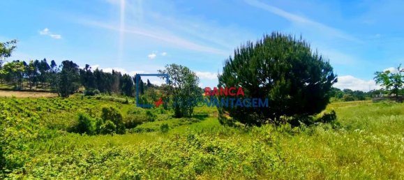 13820m² Land in Cartaxo, Portugal No. 88981 9