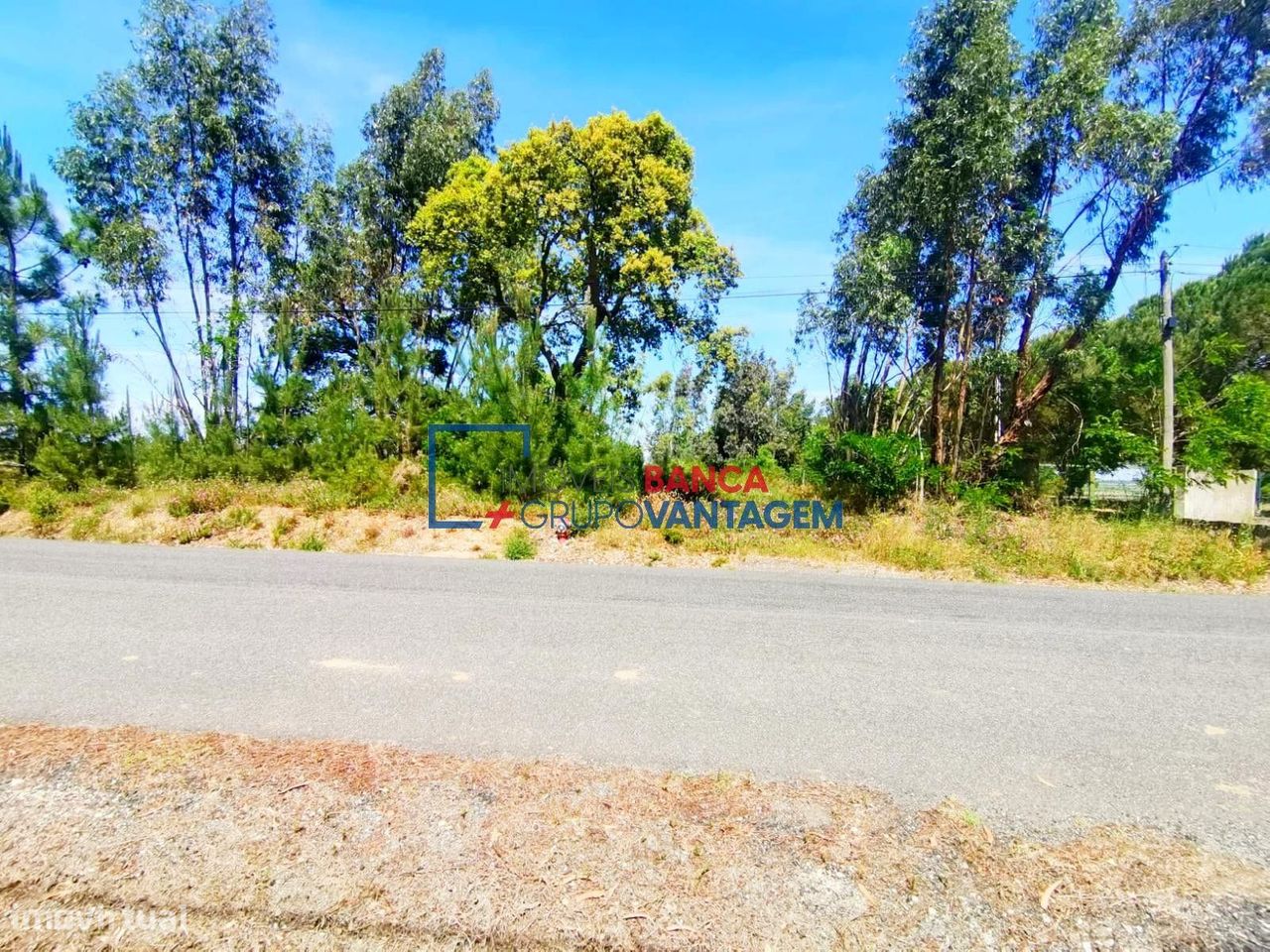 13820m² Land in Cartaxo, Portugal No. 88981