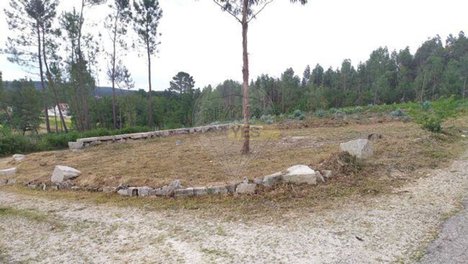  Land in Mortagua, Portugal No. 44176