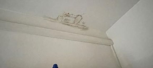 4 Schlafzimmer Wohnung in Imola, Italy, Nr. 322372 28