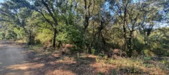 Grundstück in Sant Celoni, Spain, Nr. 143019 3