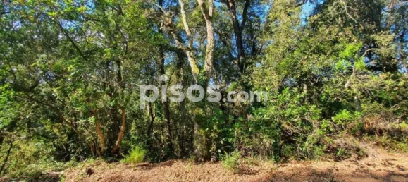 Grundstück in Sant Celoni, Spain, Nr. 143019 4