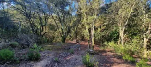 Grundstück in Sant Celoni, Spain, Nr. 143019 6