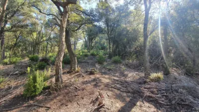 Grundstück in Sant Celoni, Spain, Nr. 143019