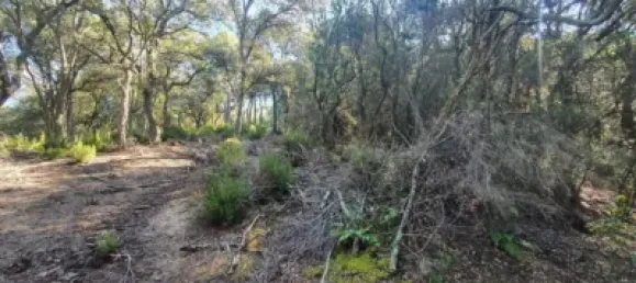 Grundstück in Sant Celoni, Spain, Nr. 143019 2