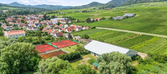  قطعة أرض في Rhineland-Palatinate, Germany 12597متر مربع رقم 141219 6