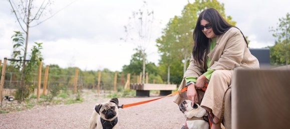 2 bedrooms Apartment in Mill Hill, United Kingdom No. 3398 29