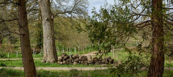 2 bedrooms Apartment in Mill Hill, United Kingdom No. 3398 15