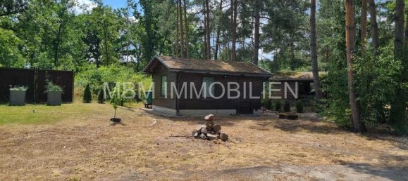 4غرفة منزل في Elbe-Elster, Germany رقم 302477 6