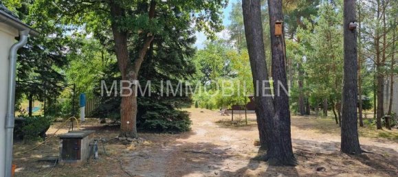 4غرفة منزل في Elbe-Elster, Germany رقم 302477 8