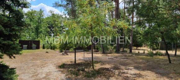 4غرفة منزل في Elbe-Elster, Germany رقم 302477 7