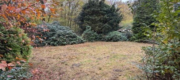 6-salle Bungalow à County of Bentheim, Germany No. 142288 21