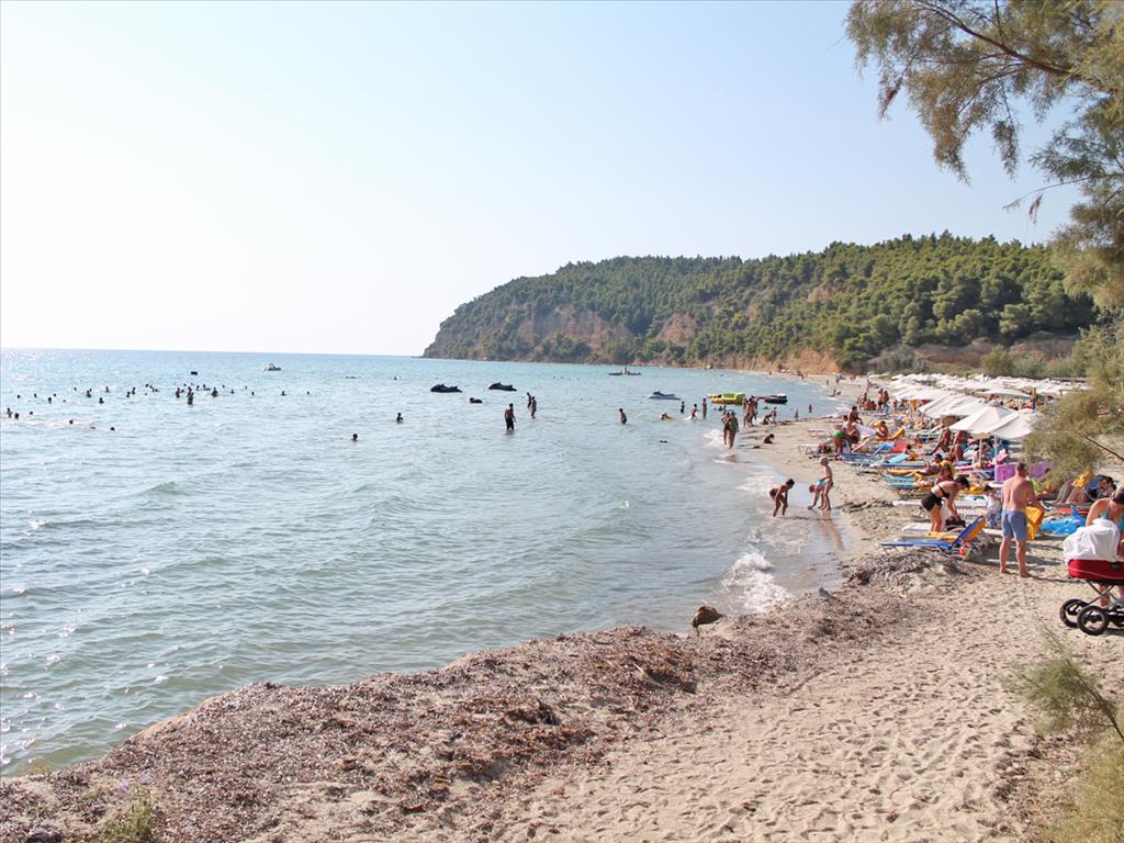 4000m² Hotel in Chalkidiki, Greece No. 8080