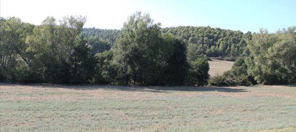 4000m² Hotel in Chalkidiki, Greece No. 8080 4