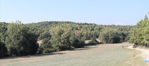 4000m² Hotel in Chalkidiki, Greece No. 8080 3